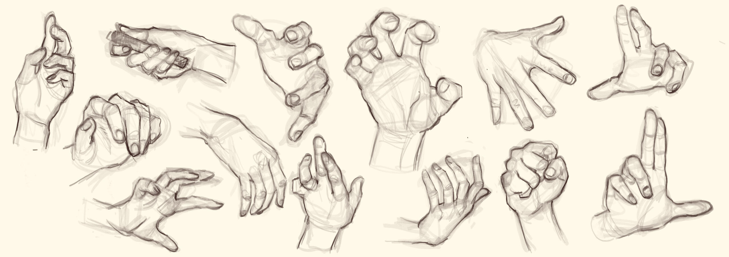 Hand Study 2024